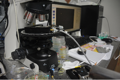 Laboratory‘s interior and equipments