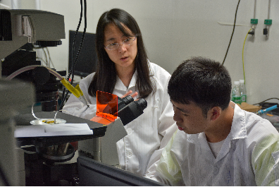 Laboratory‘s interior and equipments